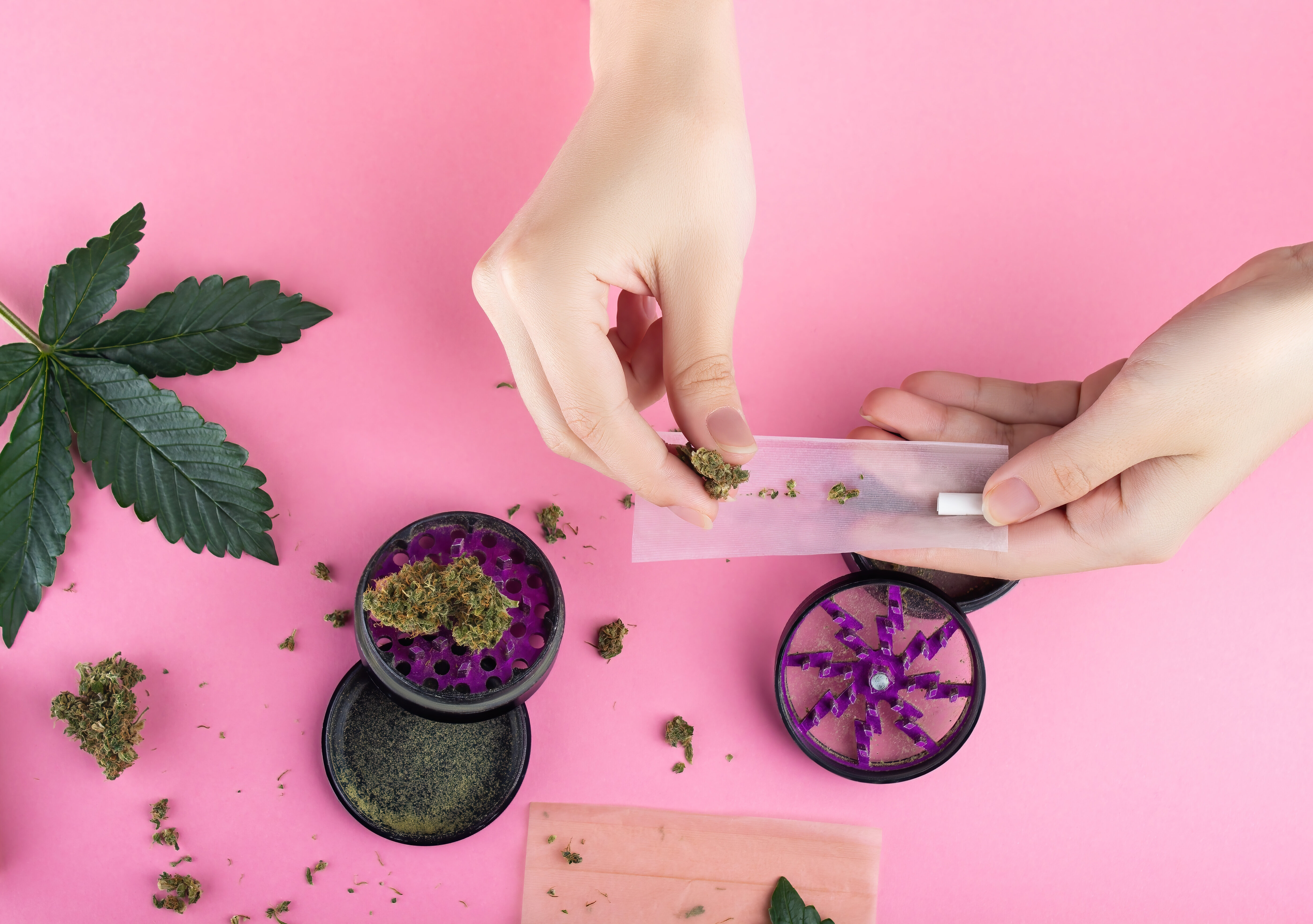 Grinder Weed Joint bauen