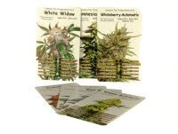 Kartenspiel "Cannabis Top Trumps"
