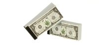 Filtertips - Dollar - einzeln bedruckt - 55x25mm