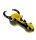 G-Spot Glaspfeife 10cm Käfer mit Hörnern - gelb/schwarz Nr.41